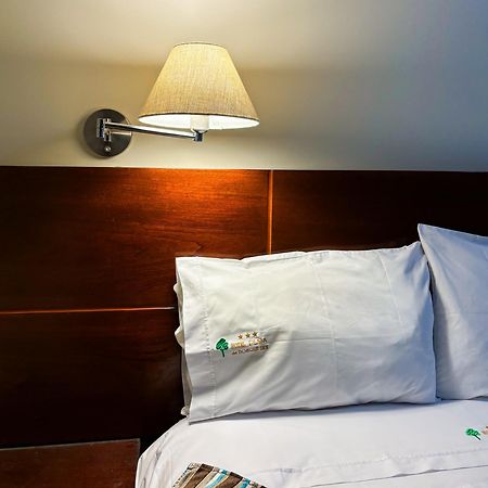 Hotel Plaza Del Bosque Inn Тинго-Мария Экстерьер фото